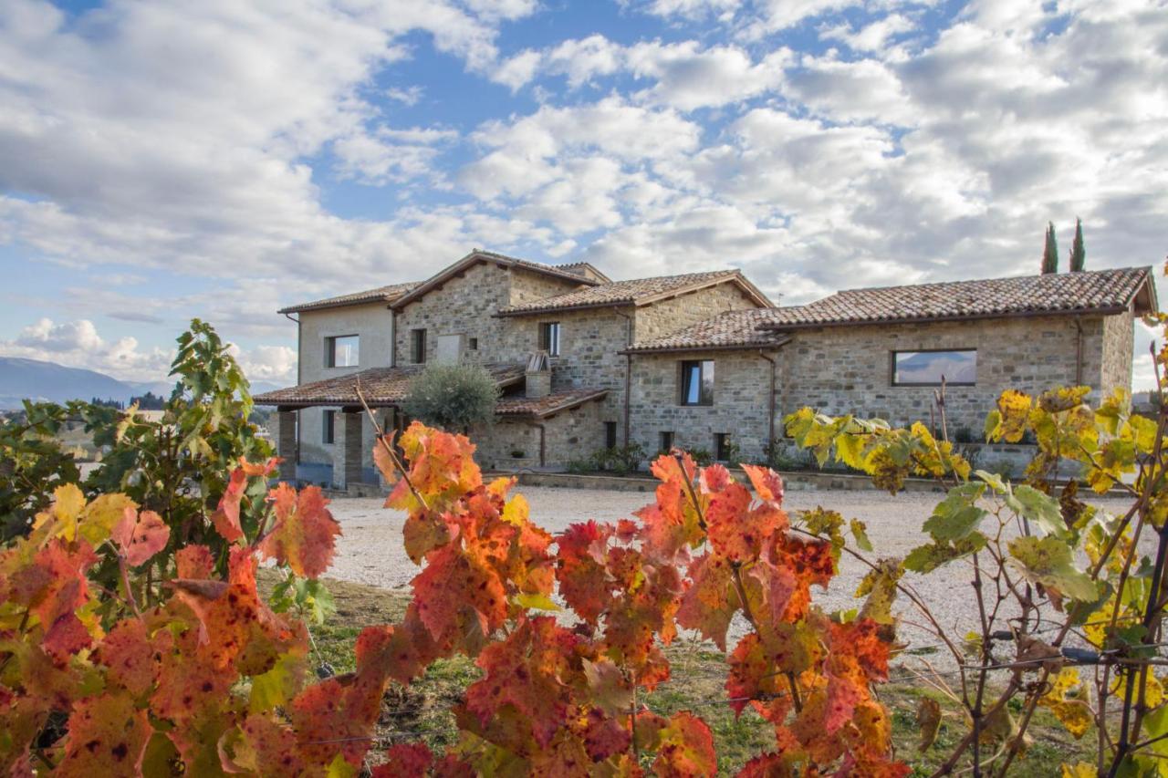 Fattoria Colsanto Villa Torre del Colle Buitenkant foto